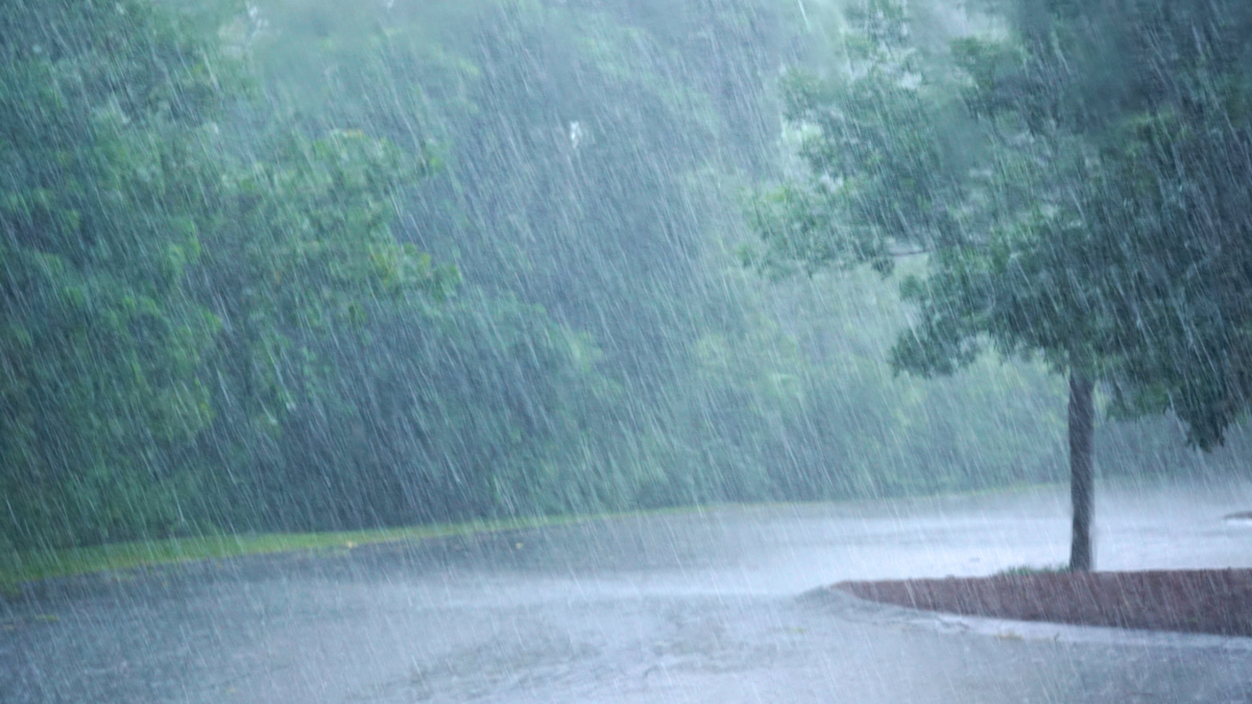 regen