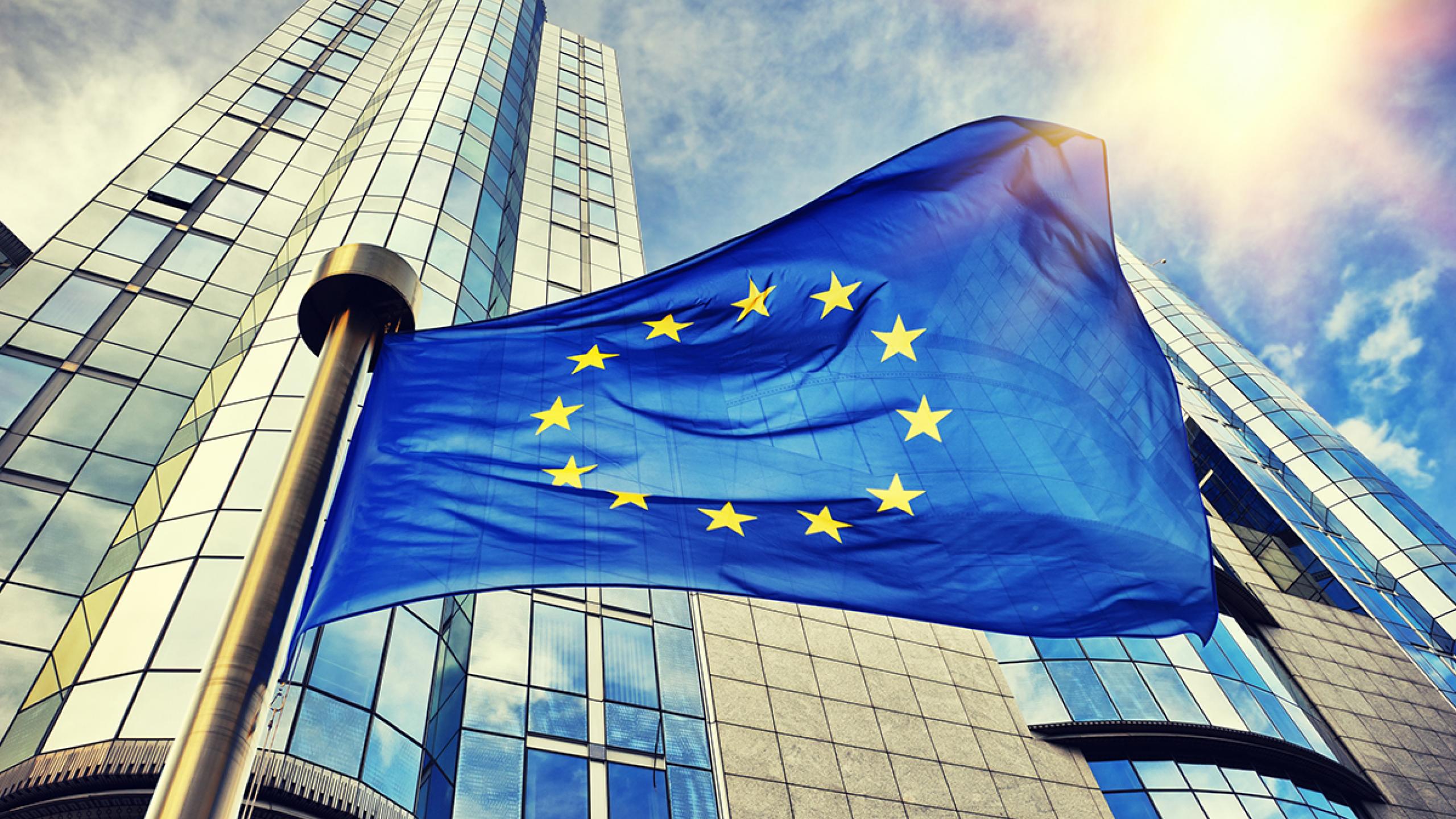 Europese vlak voor parlementsgebouw